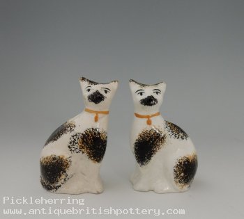 Pair Sitting Gold Collared Cats