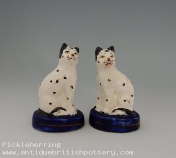 Pair Black Spotted White Cats