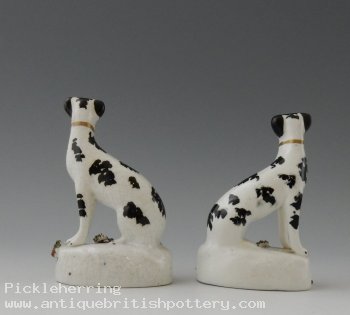Pair of Whippets