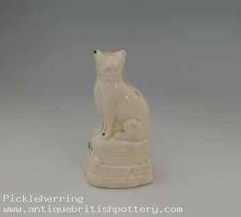 Blue Collared Cat