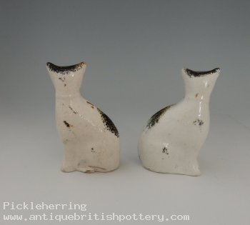 Pair Sitting Gold Collared Cats