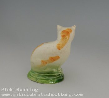 White & Ginger Cat