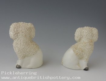 Pair of Poodles
